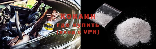 стаф Богданович