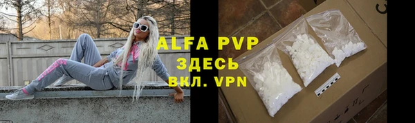 стаф Богданович