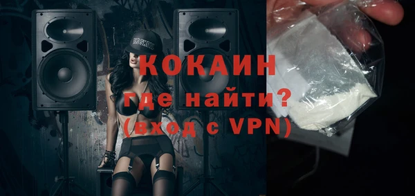 стаф Богданович
