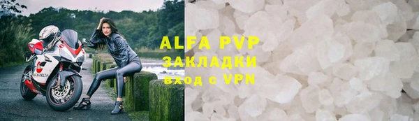 стаф Богданович