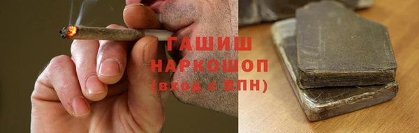 стаф Богданович