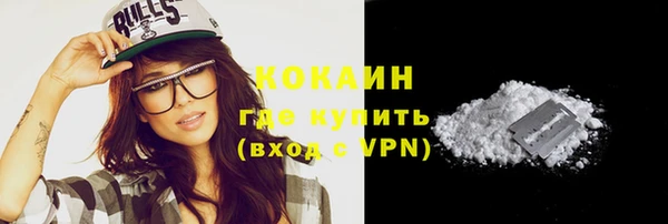 стаф Богданович