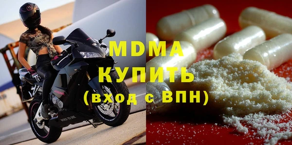 стаф Богданович