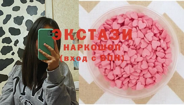 стаф Богданович