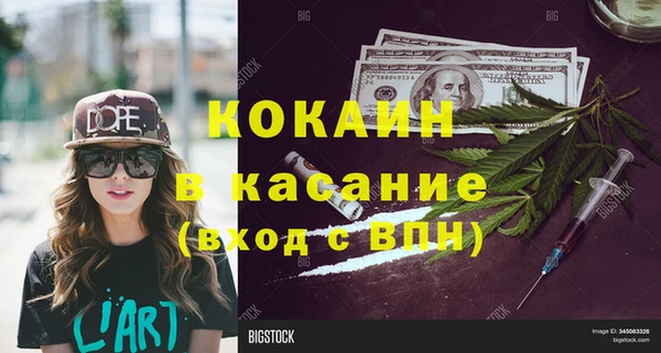 стаф Богданович