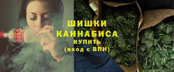 стаф Богданович