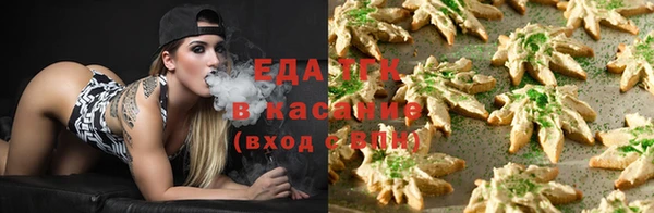 стаф Богданович