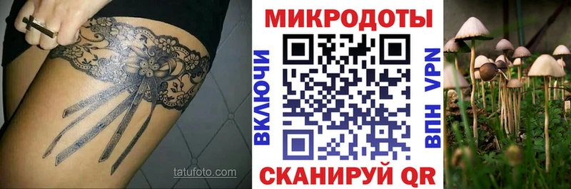 Псилоцибиновые грибы мухоморы Острогожск