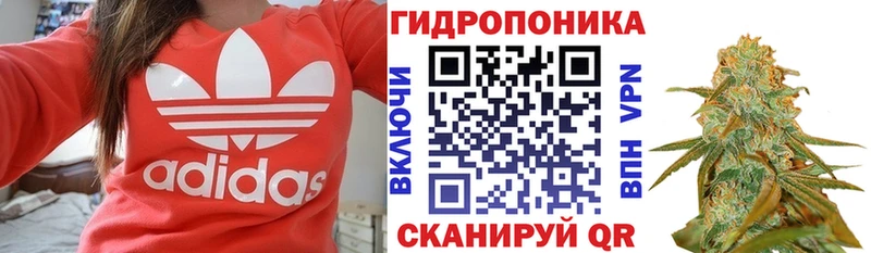 Бошки Шишки ГИДРОПОН  МЕГА tor  Острогожск 